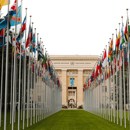 Pro Mcqs - National and International Organizations Mcqs